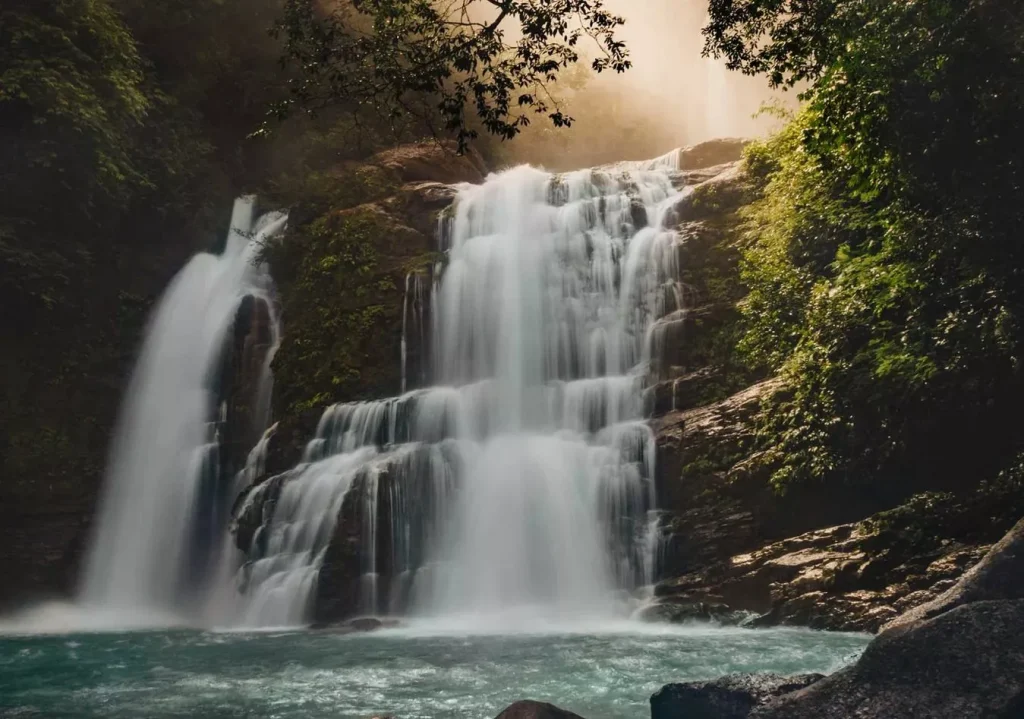 holistic mental health